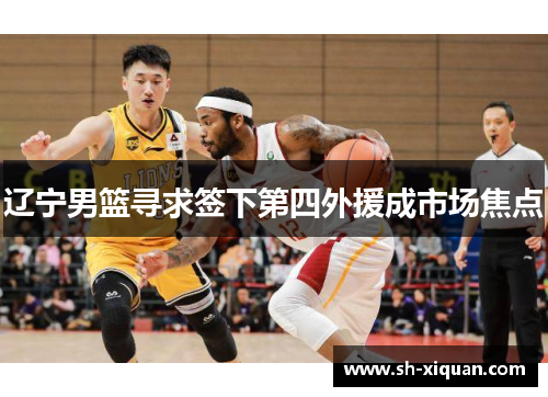 辽宁男篮寻求签下第四外援成市场焦点